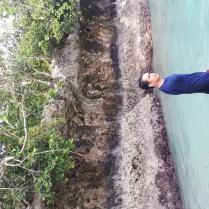 AFRINO HIDAYAT S.Si., M.Pd.